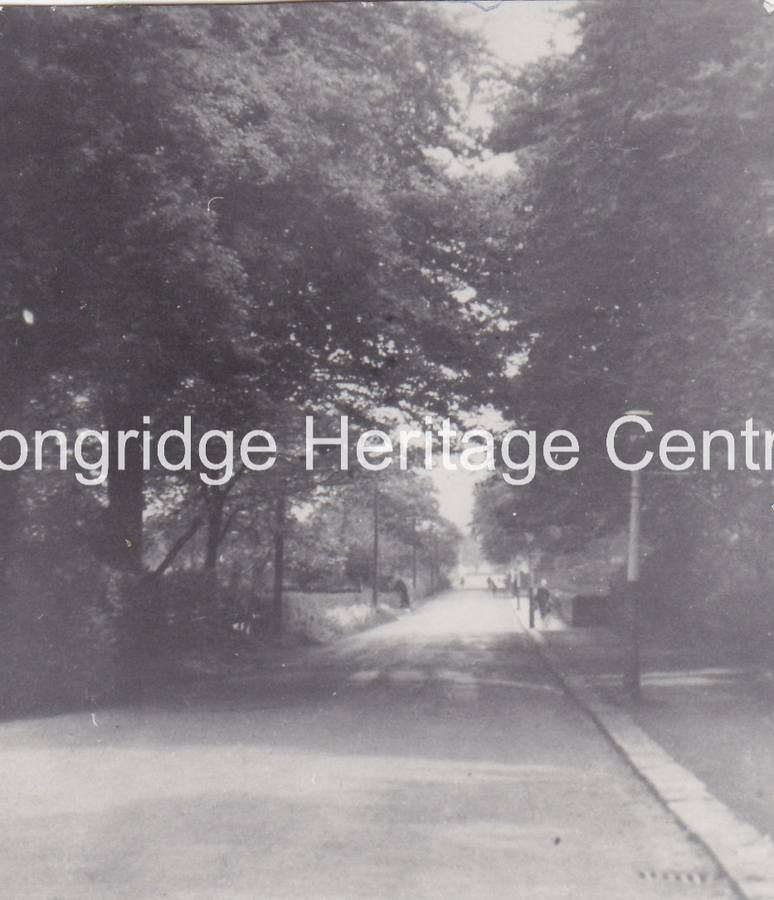 151B - Lower Lane - A view towards Clitheroe from near the Old Vicarage - Unknown